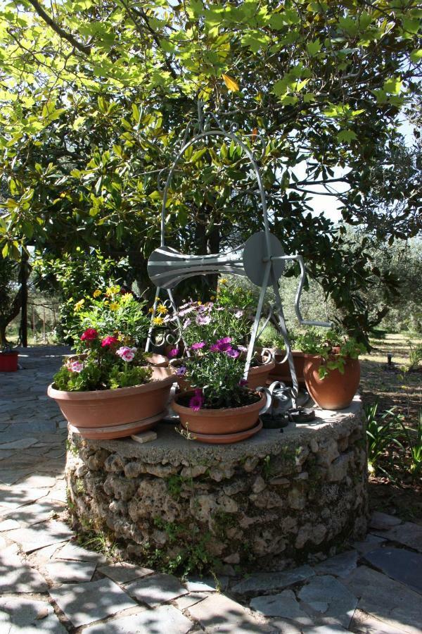 Mercouri Stone Cottage Korakokhórion 외부 사진