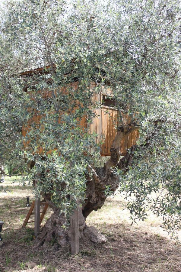 Mercouri Stone Cottage Korakokhórion 외부 사진
