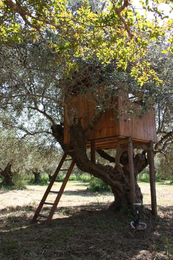 Mercouri Stone Cottage Korakokhórion 외부 사진